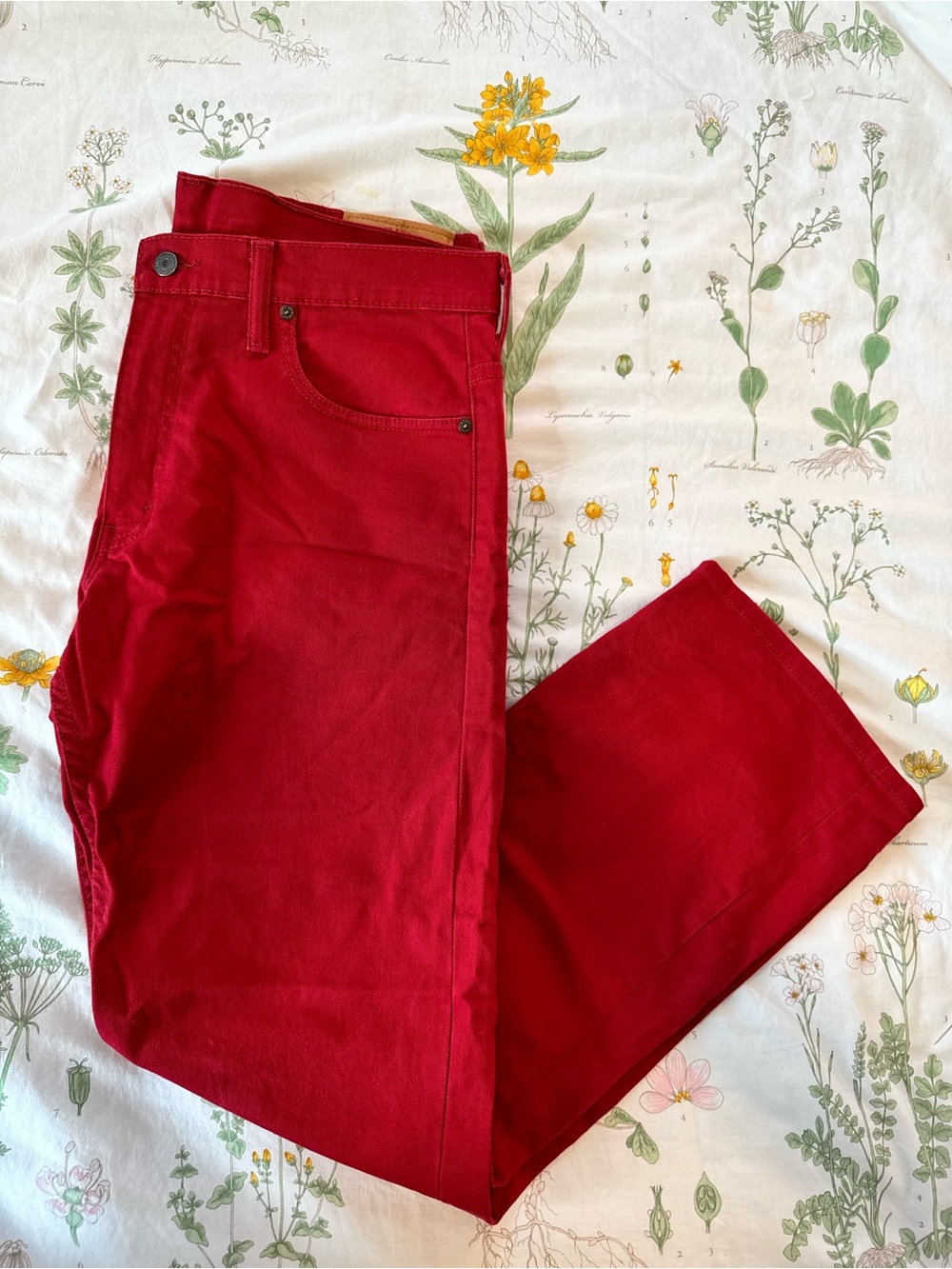 Levi’s Straight Leg Boyfriend Jean Pants Red
